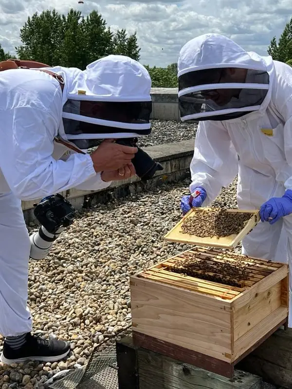 Adam Hillier Photography | Adam Hillier Commercial Photographer Adam Hillier Bee Keeping Photography-min